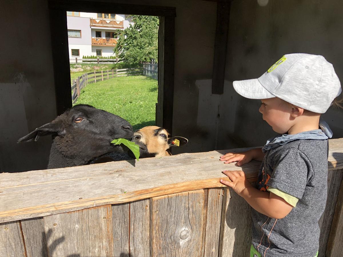 Albeinelerhof Appartement Arzl im Pitztal Buitenkant foto